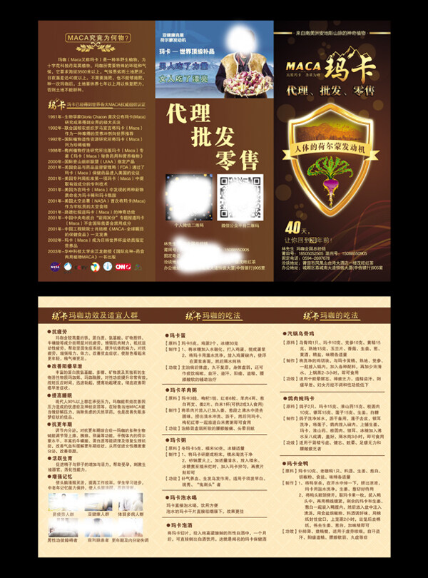 瑪咖折頁