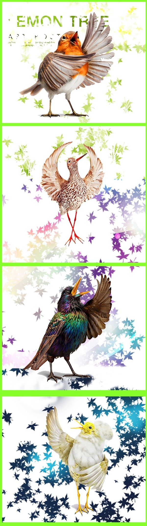 動物插畫