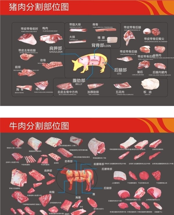 猪肉及牛肉分割图图片