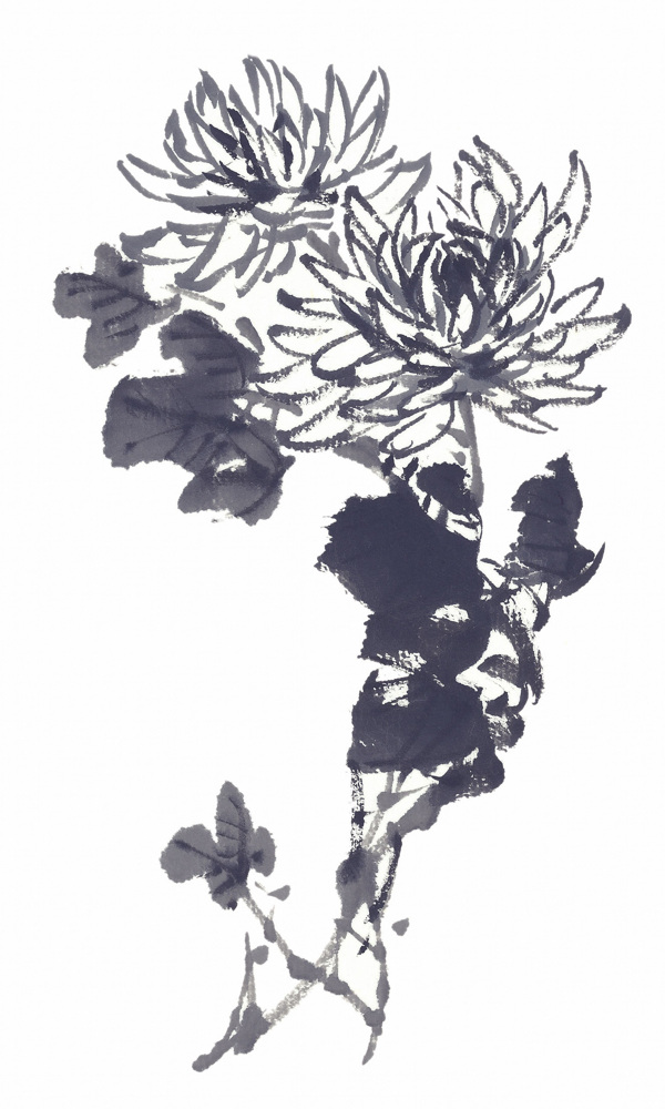 國(guó)畫花