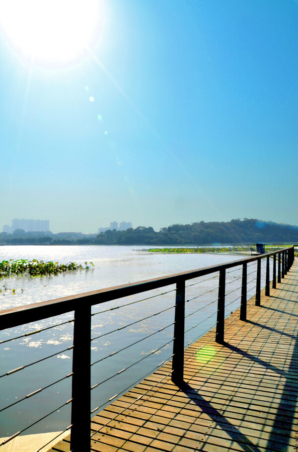 武汉古琴台景观公园图片
