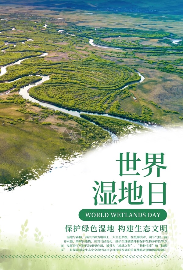 世界湿地日海报