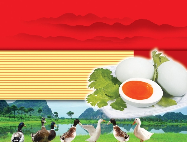 咸蛋盒包裝設(shè)計(jì)圖片