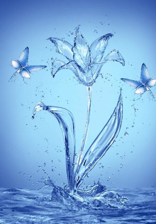 水构成的蝴蝶百合花