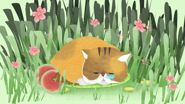 猫和西瓜和夏天原创插画