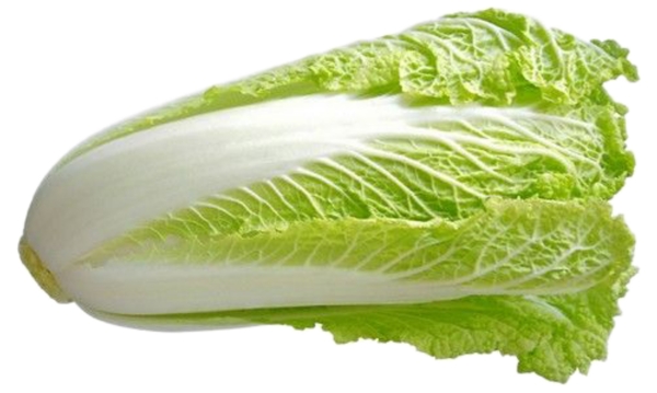 白菜