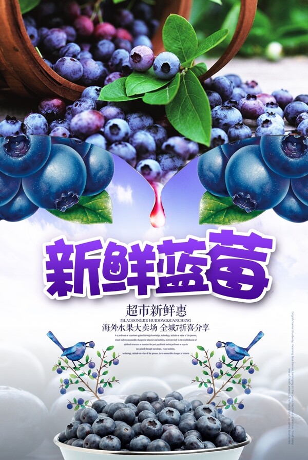 新鲜蓝莓海报设计.psd