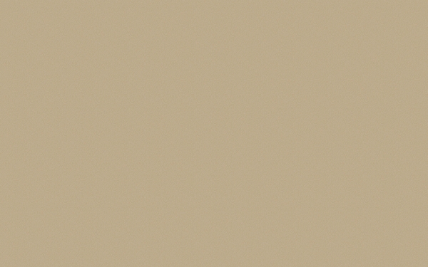 淡雅底紋37