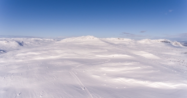 雪地