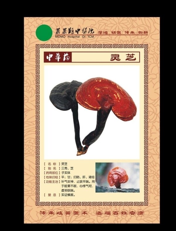 中草藥?kù)`芝