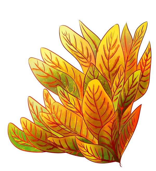 黄色热带植物