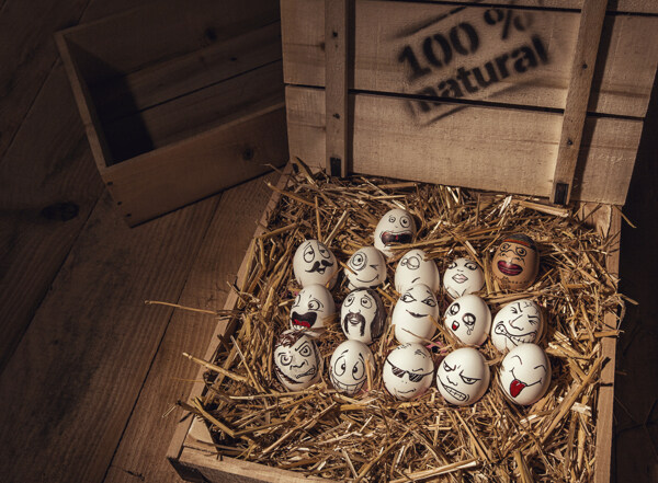 草堆里的趣味表情鸡蛋