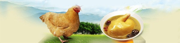 美食雞湯banner創(chuàng)意設(shè)計