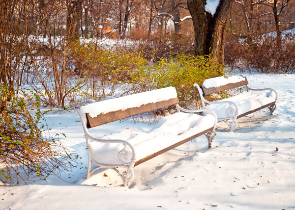公园椅子冬天风景