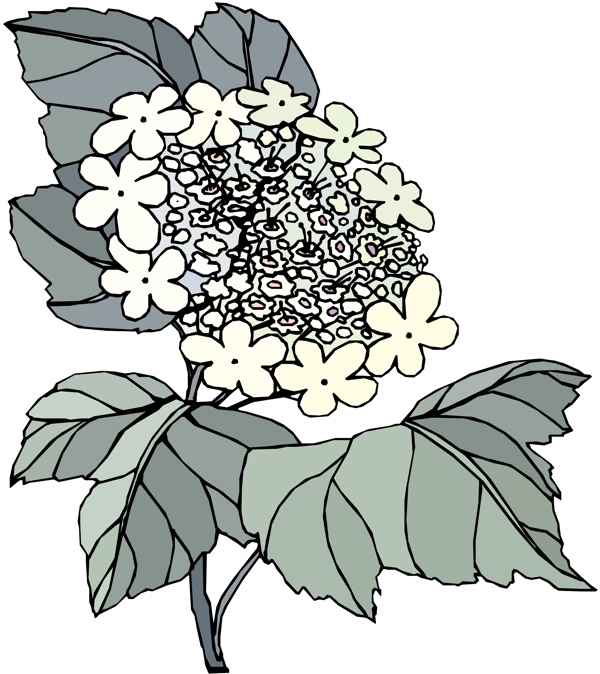 花朵花草鮮花矢量EPS格式1427