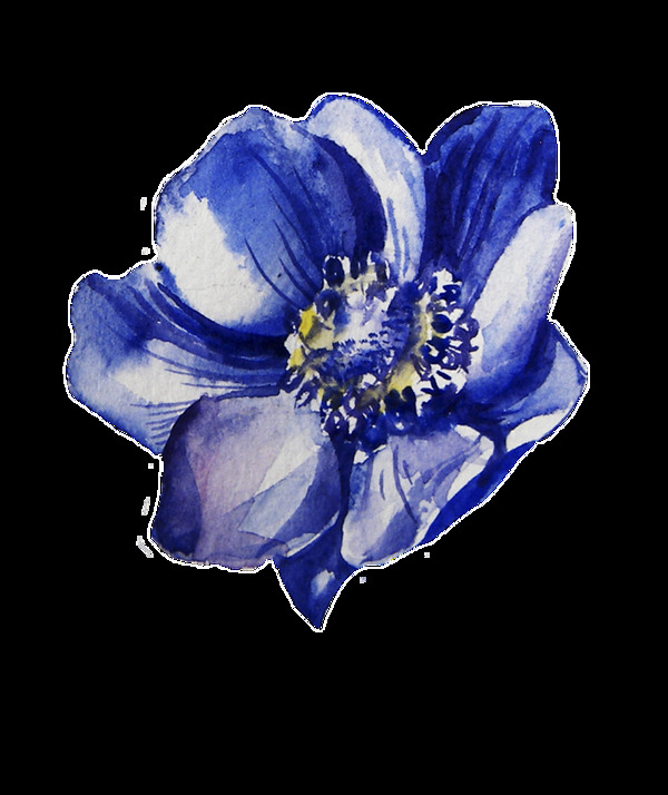 海藍(lán)花蕾卡通透明素材