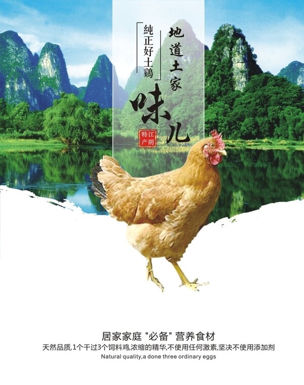 家禽