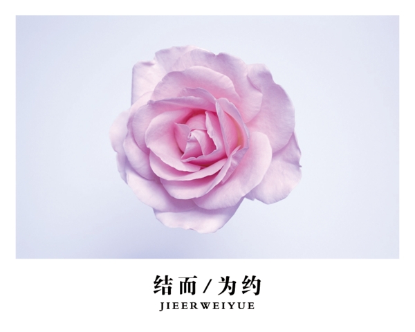 結(jié)而為約