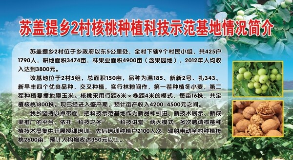 示范基地圖片