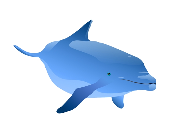 蓝色海底鲸鱼