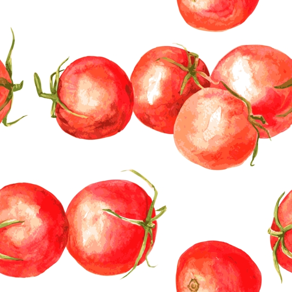 西红柿矢量素材