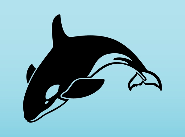 水生动物逆戟鲸在向量图片