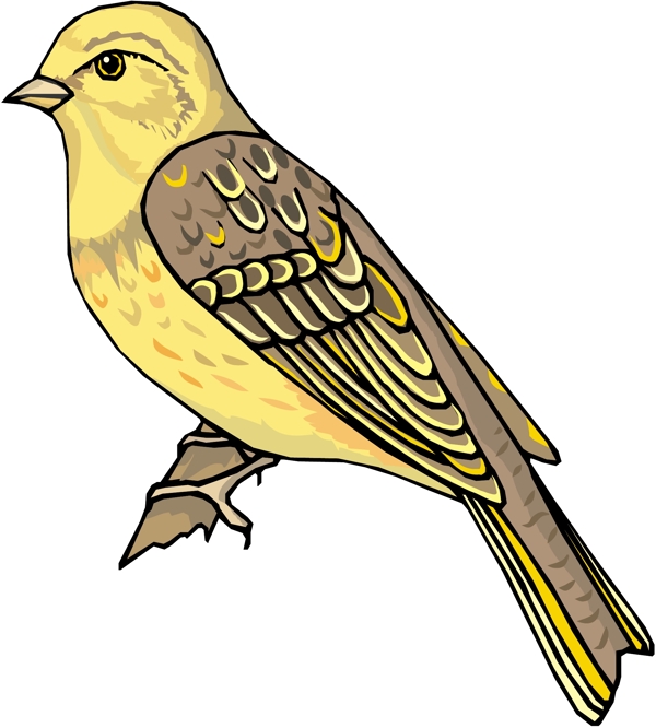 各種鳥類鳥動物矢量素材EPS格式0183