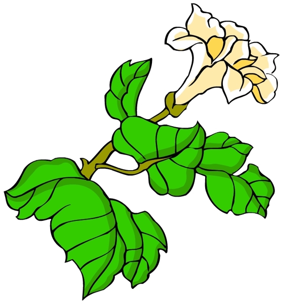 花卉古典插畫