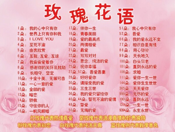 玫瑰花語(yǔ)圖片