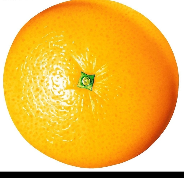 果脯橙子2图片