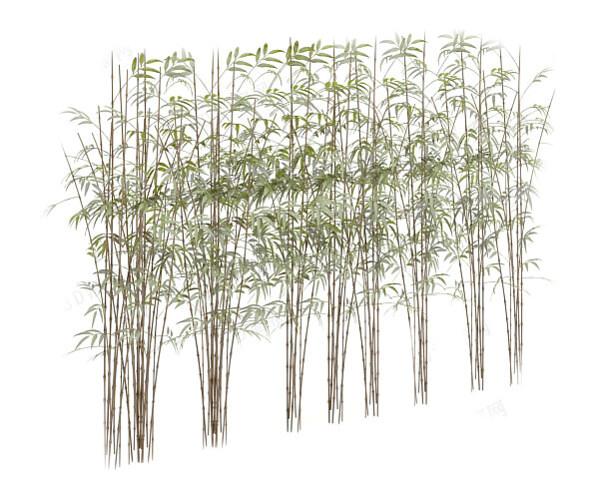 植物模型素材