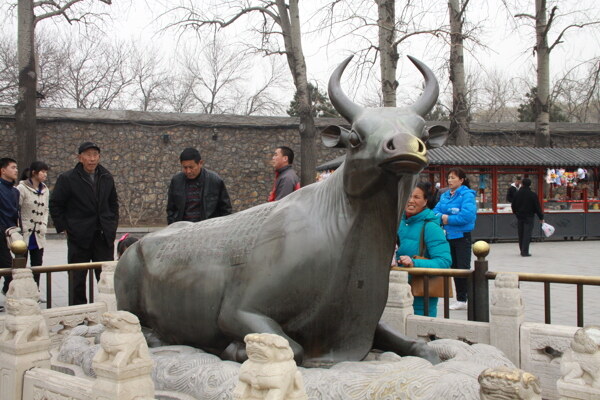 颐和园铜牛图片
