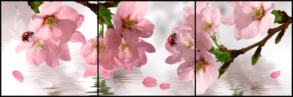 花
