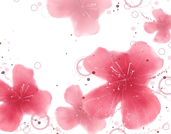 浪漫粉红色花朵图片