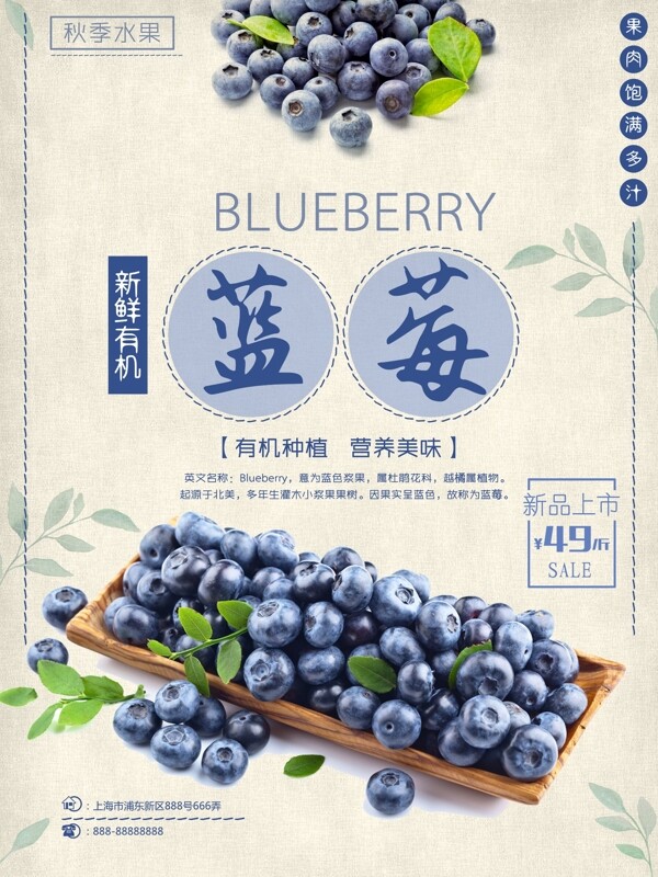 蓝色简约清新秋季水果水果店鲜蓝莓促销海报
