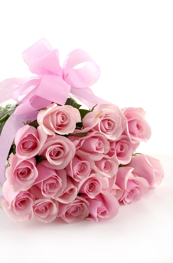 束粉色玫瑰