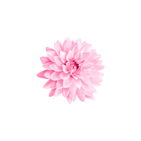 手繪花