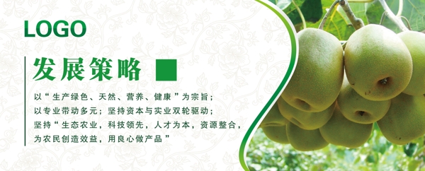 獼猴桃文化