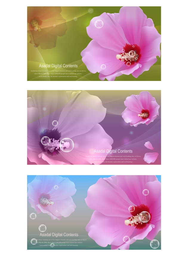 好看的花紋