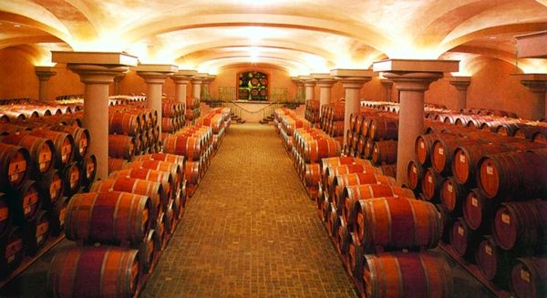 酒窖葡萄