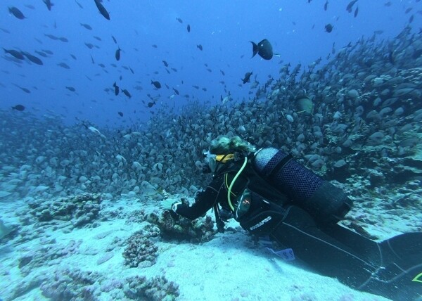海底潜水