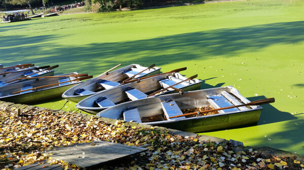 布鲁塞尔湖船比利时自然