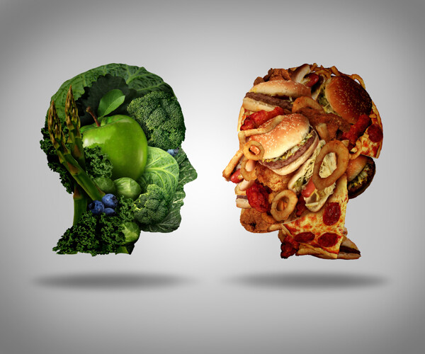 水果蔬菜人脑与垃圾食品人脑图片