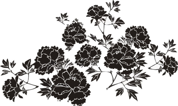 牡丹