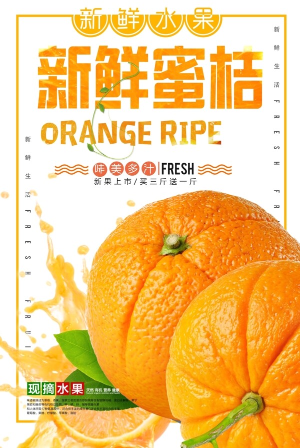 清新新鲜砂糖橘海报.psd