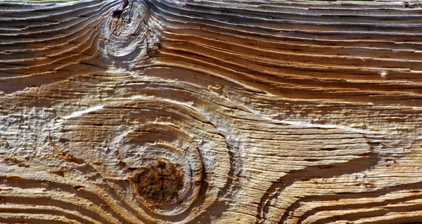 木材表面纹理13