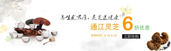 首焦靈芝促銷