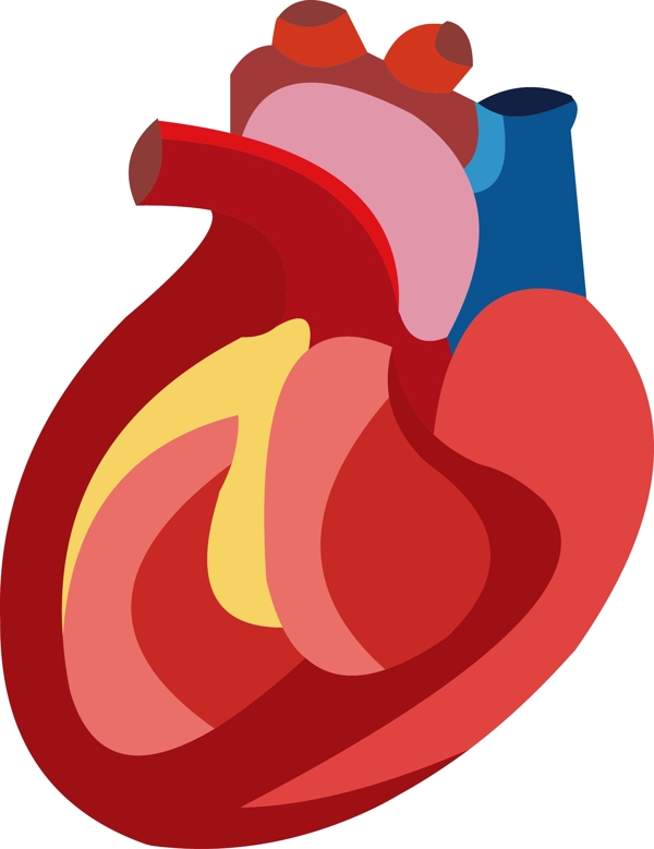 手绘人体器官结构图心脏矢量免抠素材