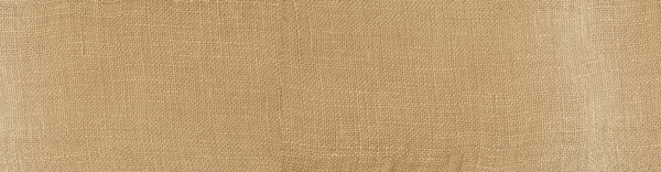 淘寶復古banner