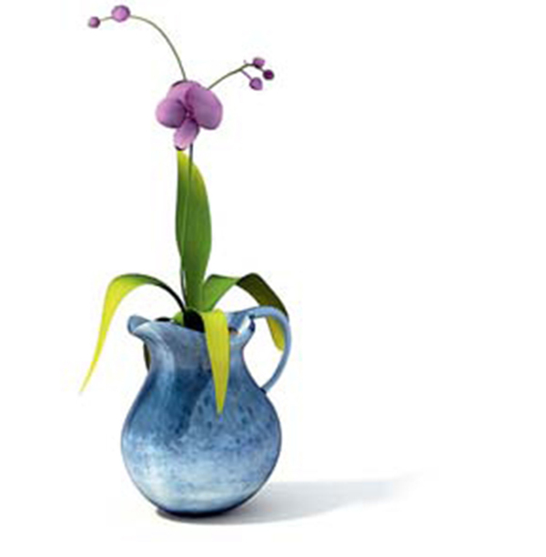 3D室內(nèi)植物花玻璃花瓶裝飾模型